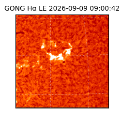gong - 2026-09-09T09:00:42