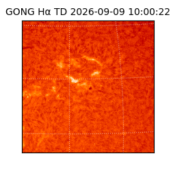gong - 2026-09-09T10:00:22