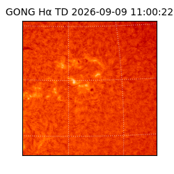 gong - 2026-09-09T11:00:22