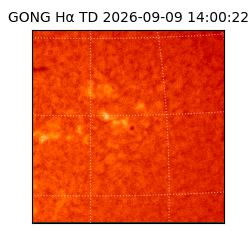 gong - 2026-09-09T14:00:22