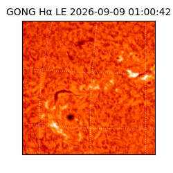 gong - 2026-09-09T01:00:42