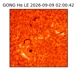gong - 2026-09-09T02:00:42