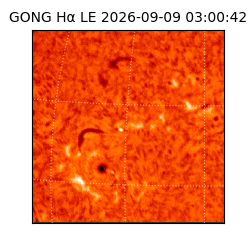 gong - 2026-09-09T03:00:42