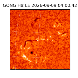 gong - 2026-09-09T04:00:42