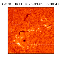gong - 2026-09-09T05:00:42