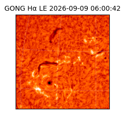 gong - 2026-09-09T06:00:42