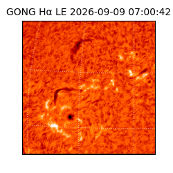 gong - 2026-09-09T07:00:42