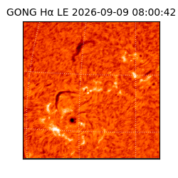 gong - 2026-09-09T08:00:42