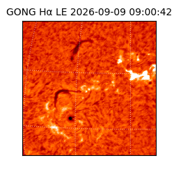 gong - 2026-09-09T09:00:42
