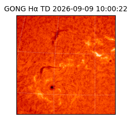 gong - 2026-09-09T10:00:22