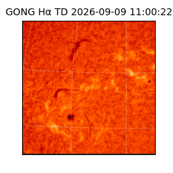 gong - 2026-09-09T11:00:22
