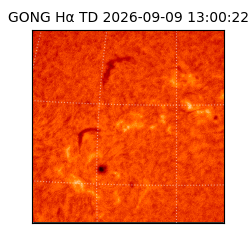 gong - 2026-09-09T13:00:22