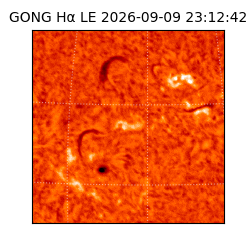gong - 2026-09-09T23:12:42