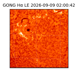 gong - 2026-09-09T02:00:42