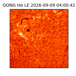 gong - 2026-09-09T04:00:42