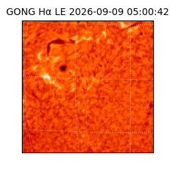 gong - 2026-09-09T05:00:42