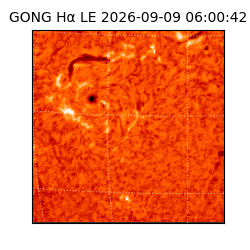 gong - 2026-09-09T06:00:42