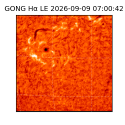 gong - 2026-09-09T07:00:42