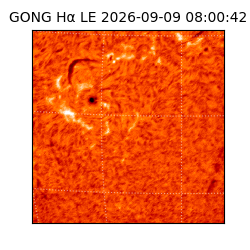 gong - 2026-09-09T08:00:42