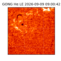 gong - 2026-09-09T09:00:42