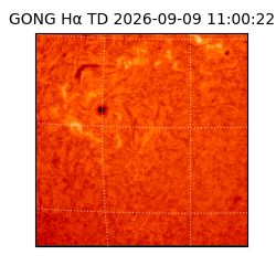 gong - 2026-09-09T11:00:22