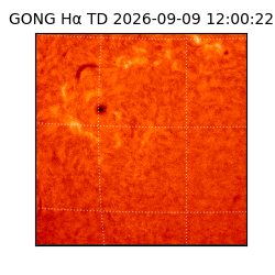 gong - 2026-09-09T12:00:22
