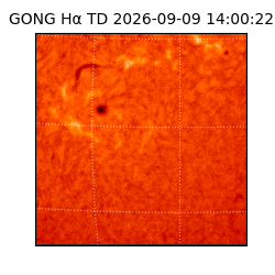 gong - 2026-09-09T14:00:22
