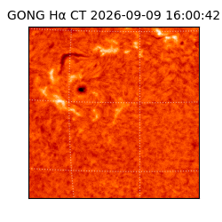gong - 2026-09-09T16:00:42