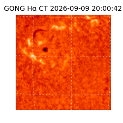 gong - 2026-09-09T20:00:42