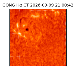 gong - 2026-09-09T21:00:42