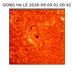 gong - 2026-09-09T01:00:42