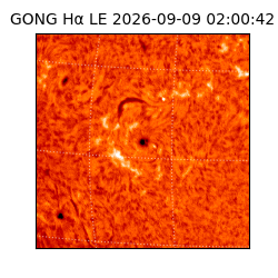 gong - 2026-09-09T02:00:42