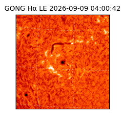 gong - 2026-09-09T04:00:42