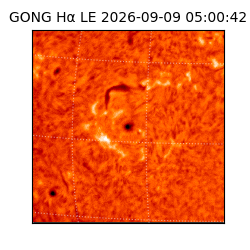 gong - 2026-09-09T05:00:42