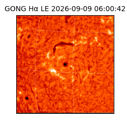 gong - 2026-09-09T06:00:42