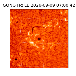 gong - 2026-09-09T07:00:42