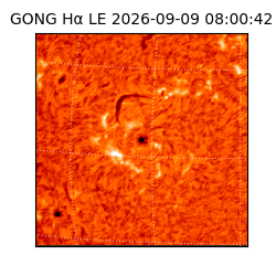 gong - 2026-09-09T08:00:42