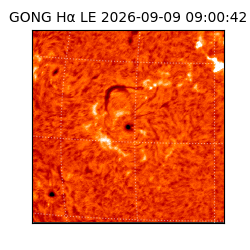 gong - 2026-09-09T09:00:42