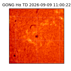 gong - 2026-09-09T11:00:22