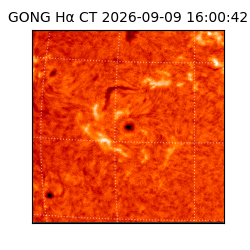 gong - 2026-09-09T16:00:42