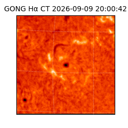 gong - 2026-09-09T20:00:42