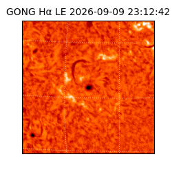 gong - 2026-09-09T23:12:42