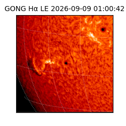 gong - 2026-09-09T01:00:42