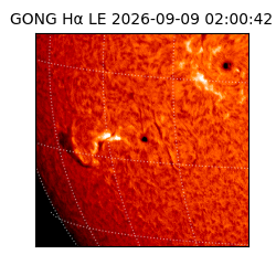 gong - 2026-09-09T02:00:42