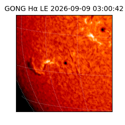 gong - 2026-09-09T03:00:42