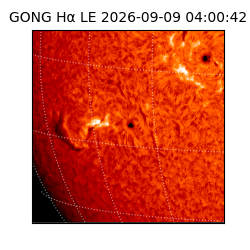 gong - 2026-09-09T04:00:42