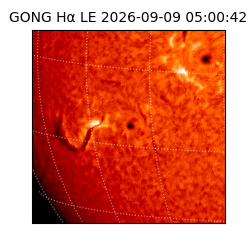 gong - 2026-09-09T05:00:42