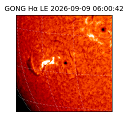 gong - 2026-09-09T06:00:42