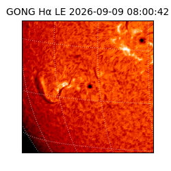 gong - 2026-09-09T08:00:42