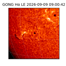 gong - 2026-09-09T09:00:42